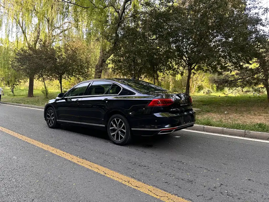 Magotan 2020 330TSI DSG Leading Edition