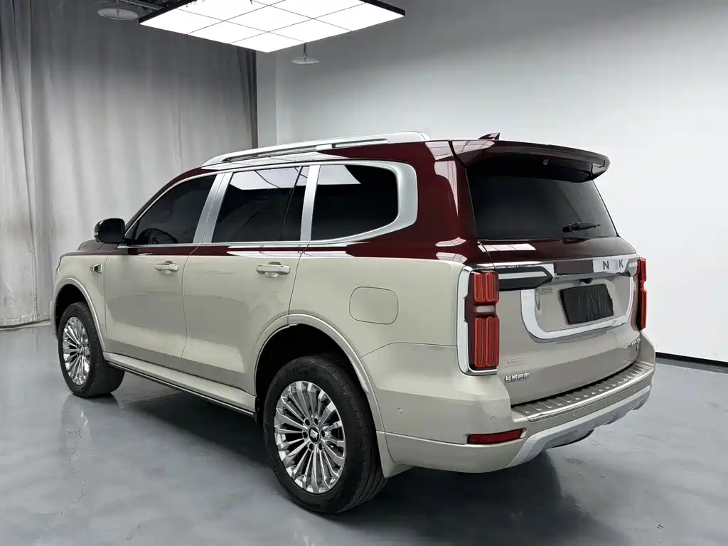 TANK 500 2022 Model High-end Custom Edition 5-seater