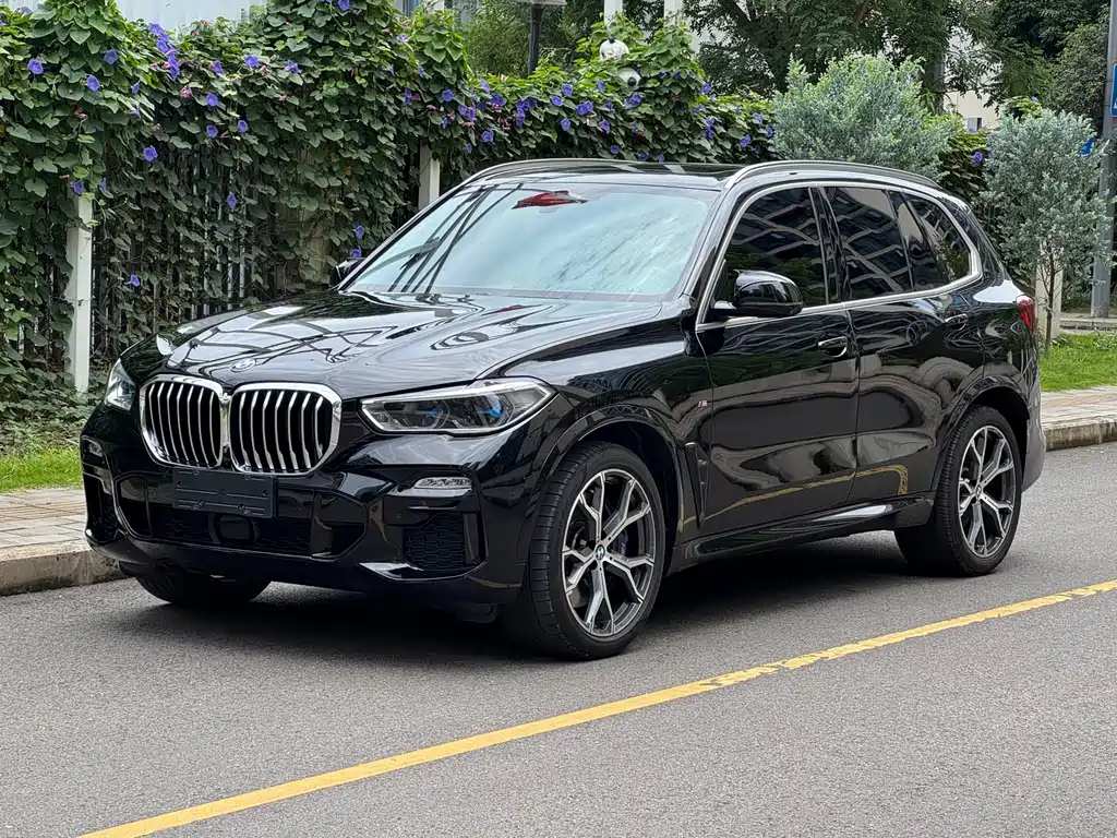 BMW X5 Import 2019 Model xDrive40i Excellence Edition M Sport Package