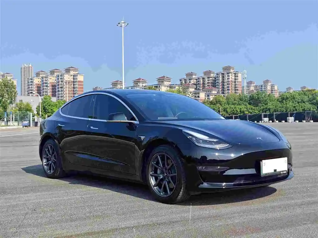 Model 3 Long Range Rear-Wheel Drive 2020款