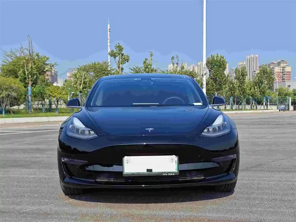 Model 3 Long Range Rear-Wheel Drive 2020款