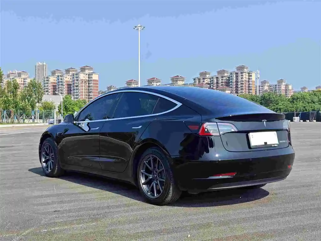 Model 3 Long Range Rear-Wheel Drive 2020款