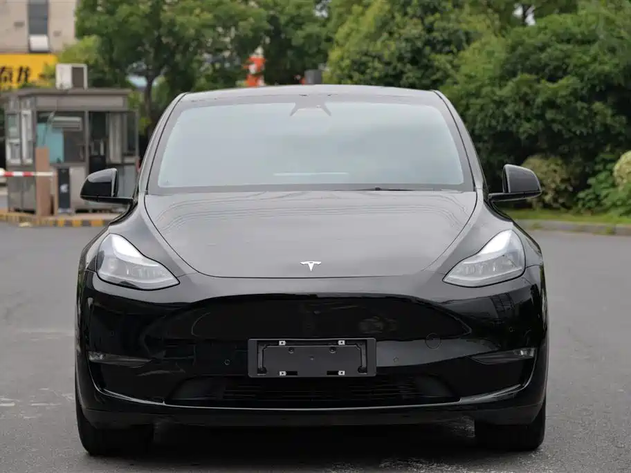 Model Y 2021 Long Range All-Wheel Drive Edition