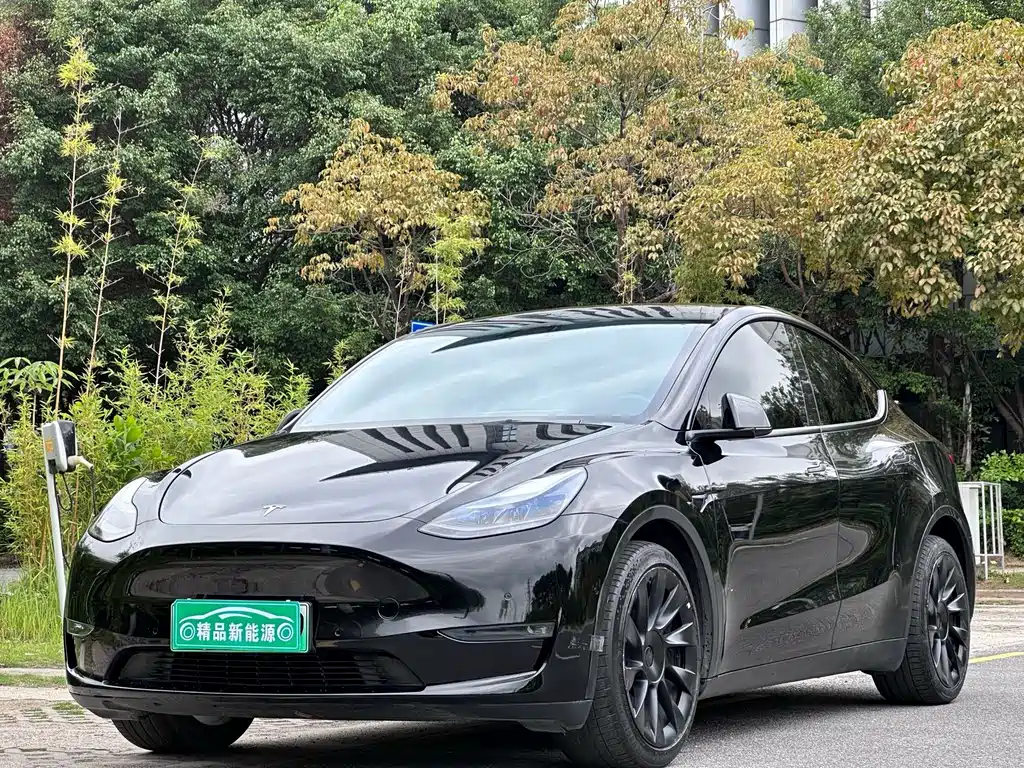 Model Y Long Range All-Wheel Drive 2022