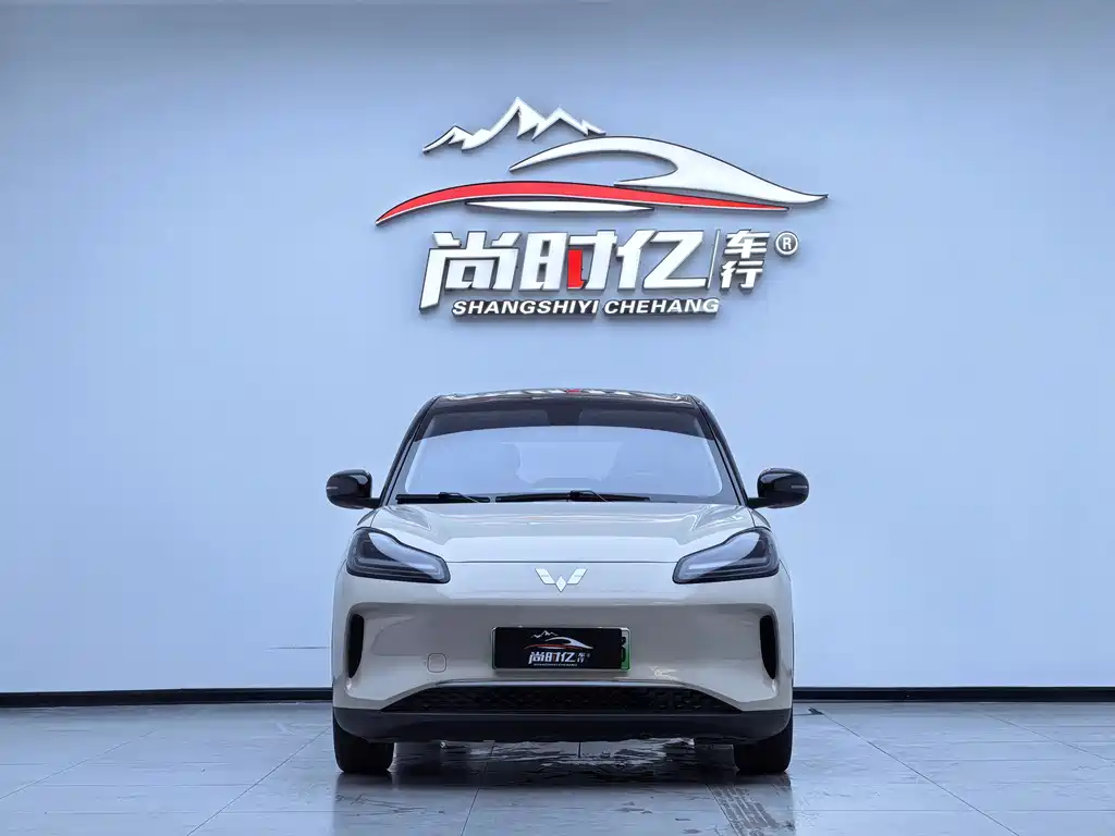 Wuling Bingo PLUS 2024 401km 5-seat edition