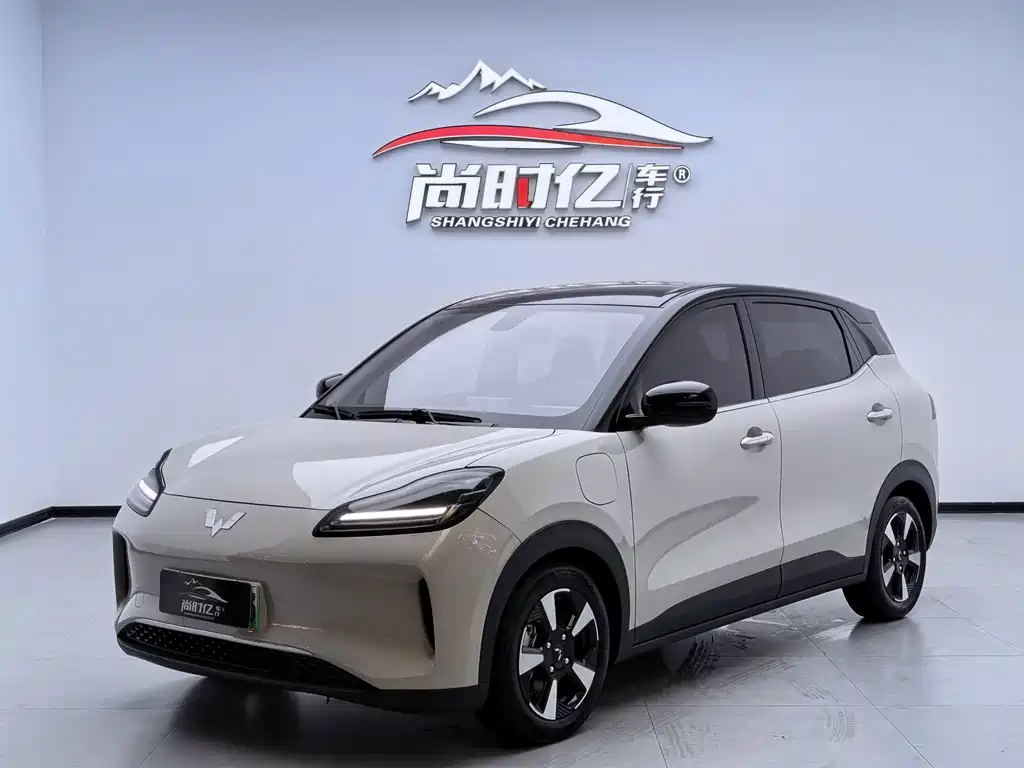Wuling Bingo PLUS 2024 401km 5-seat edition