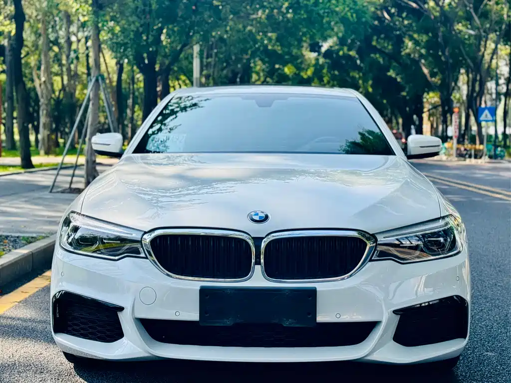 BMW 5 Series 2020 530Li Luxury Edition M Sport Package