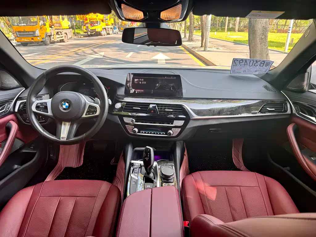 BMW 5 Series 2020 530Li Luxury Edition M Sport Package
