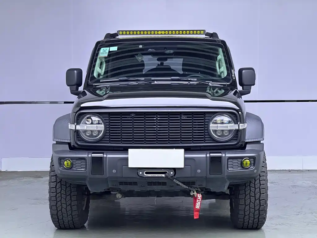 Tank 300 2021 Model Off-road Edition 2.0T Conqueror