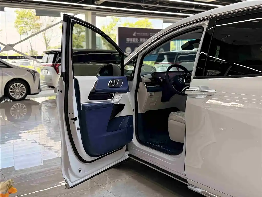 2025 Century 2.0T 7-seat Yunshe Edition