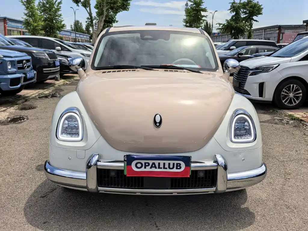 Ora Balletto Cat 2022 401km Walnut Clipper Edition
