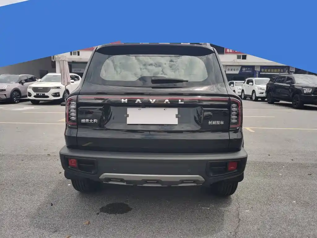 Haval Dog 2024 1.5T DCT Border Collie Edition