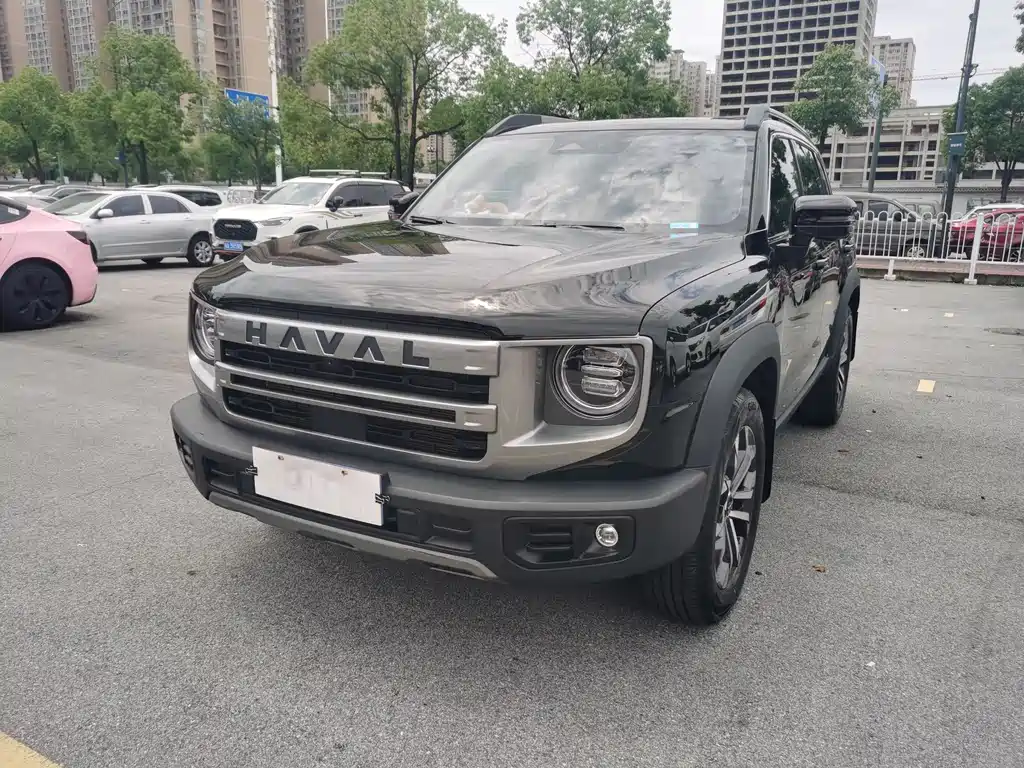 Haval Dog 2024 1.5T DCT Border Collie Edition