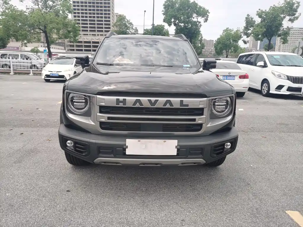 Haval Dog 2024 1.5T DCT Border Collie Edition