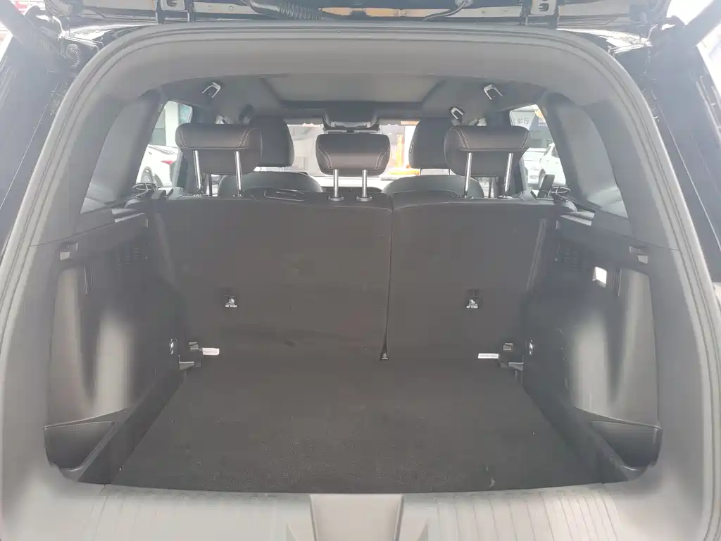 Haval Dog 2024 1.5T DCT Border Collie Edition