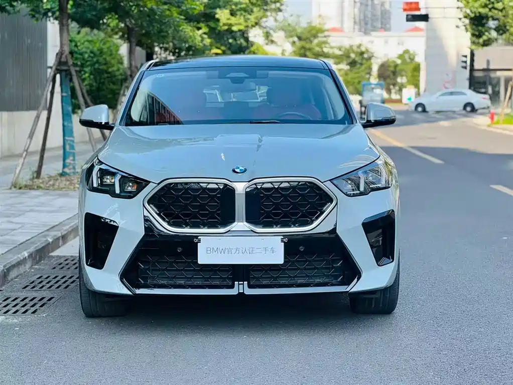 BMW X2 Imported 2024 Model sDrive25i M Sport Package