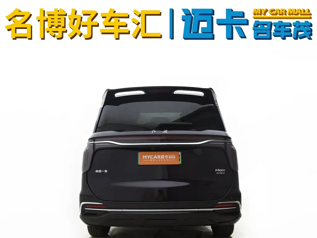 红旗HQ9 PHEV 2024 Edition 2.0T All-Wheel Drive Luxury Version