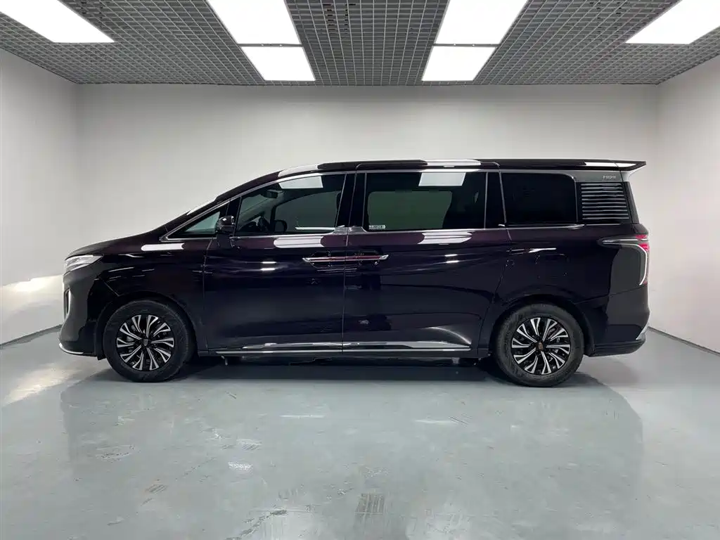 红旗HQ9 PHEV 2024 Edition 2.0T All-Wheel Drive Luxury Version
