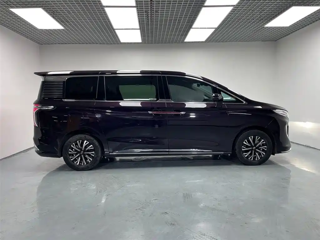 红旗HQ9 PHEV 2024 Edition 2.0T All-Wheel Drive Luxury Version