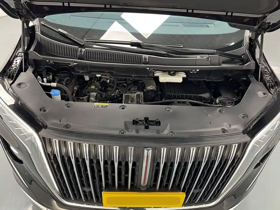 红旗HQ9 PHEV 2024 Edition 2.0T All-Wheel Drive Luxury Version