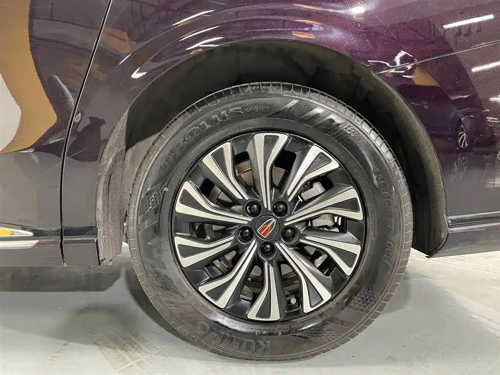 红旗HQ9 PHEV 2024 Edition 2.0T All-Wheel Drive Luxury Version