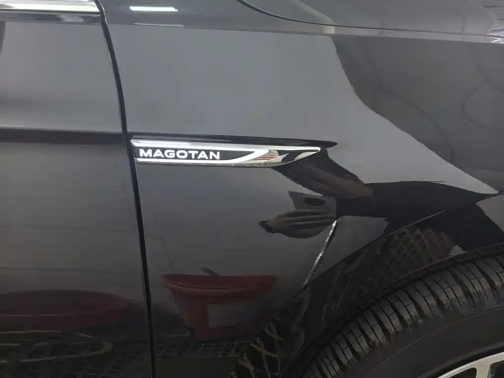 Magotan 2020 330TSI DSG Luxury Edition