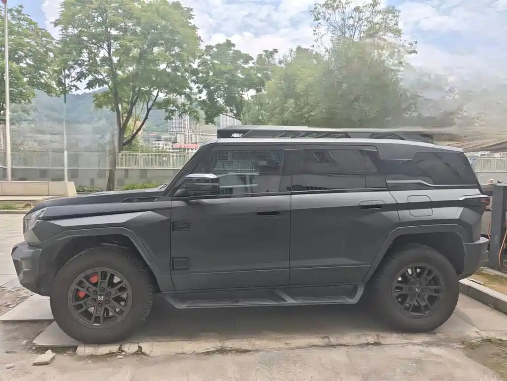 Mengshi 917 2023 Model Range Basic Edition