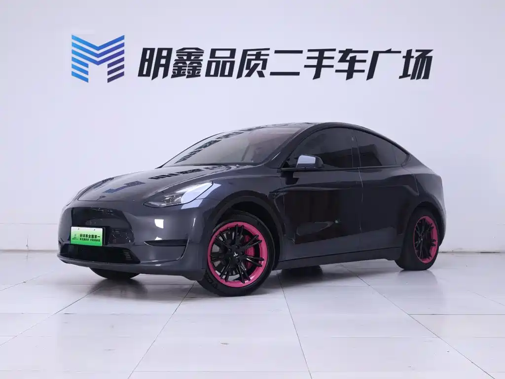 Model Y 2024 Rear-Wheel Drive Edition