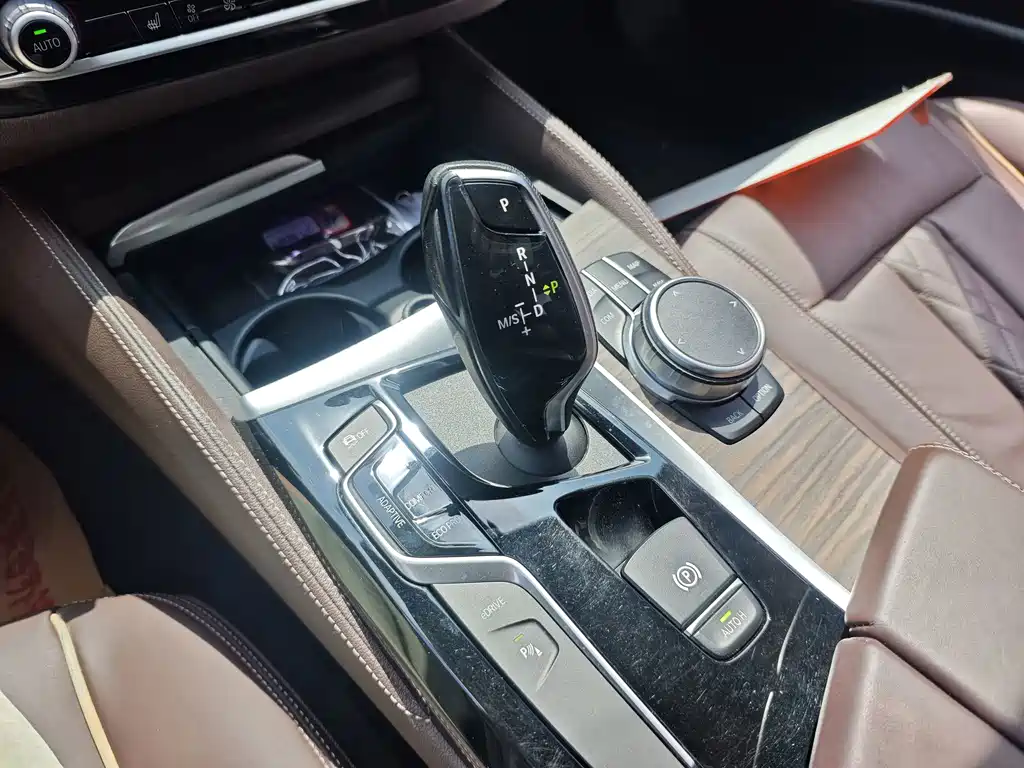 BMW 5 Series New Energy 2020 Model Mileage Upgrade Edition 530Le Luxury Package