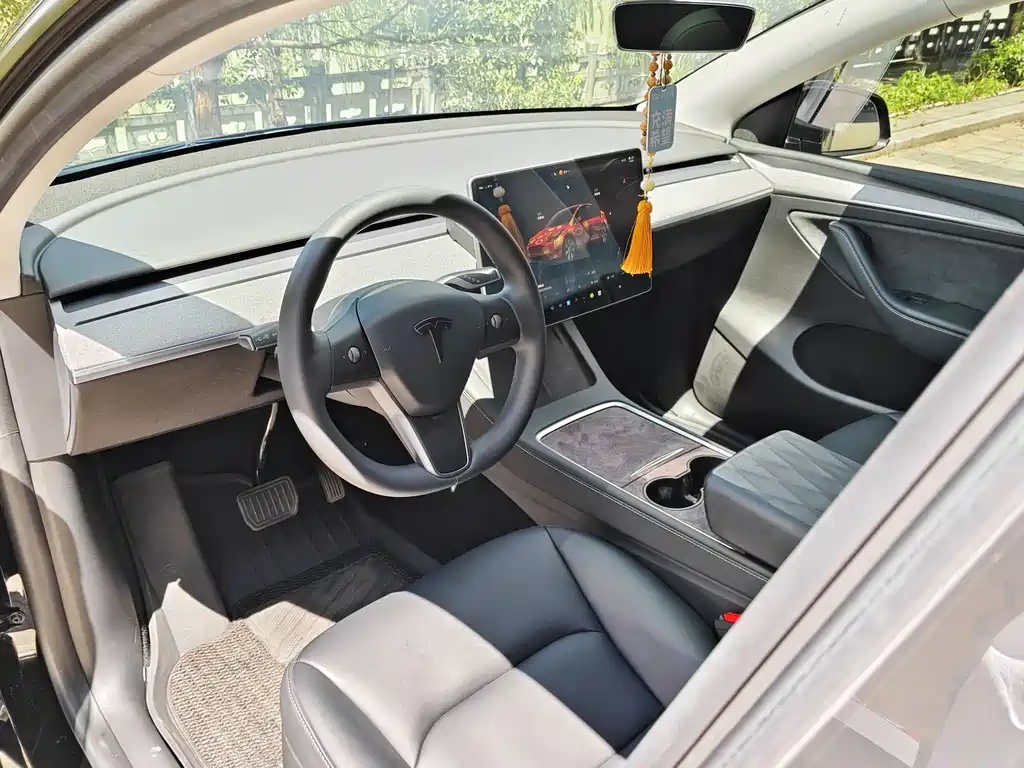 Model Y 2022 Rear-Wheel Drive Edition