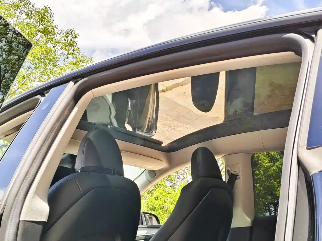 Model Y 2022 Rear-Wheel Drive Edition