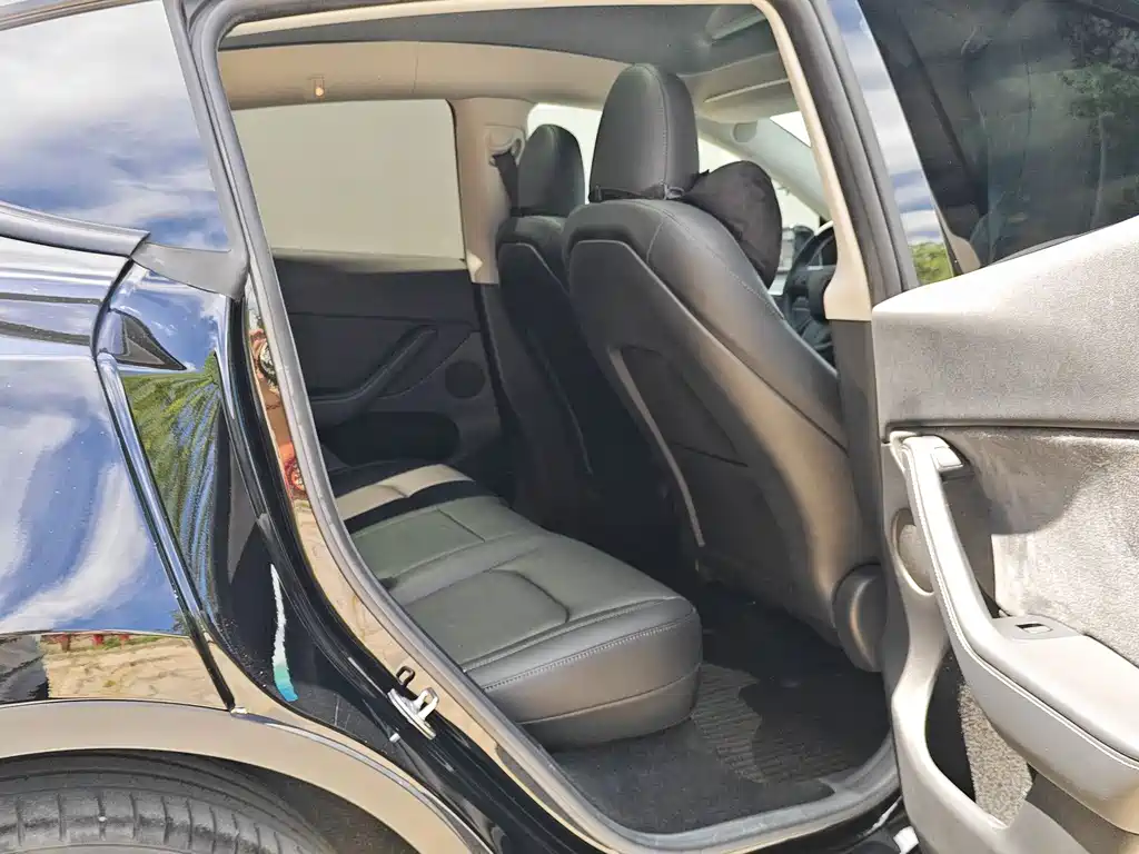 Model Y 2022 Rear-Wheel Drive Edition