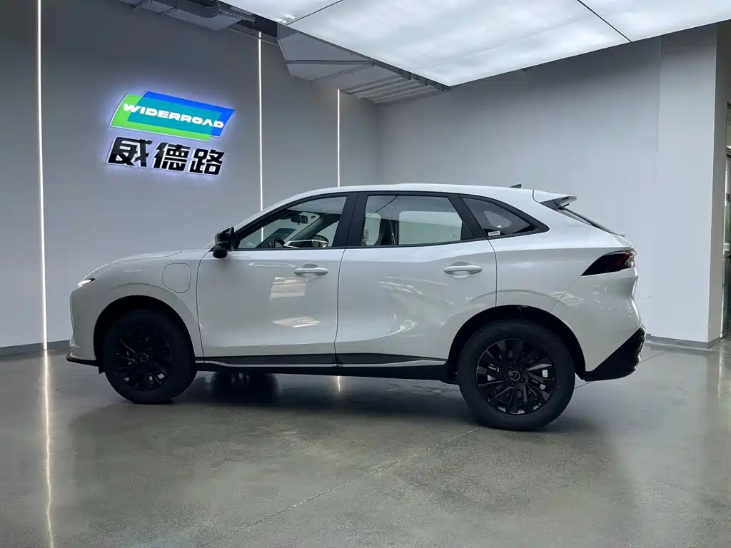 Star Sea T5 2026 Edition 530km Premium Version
