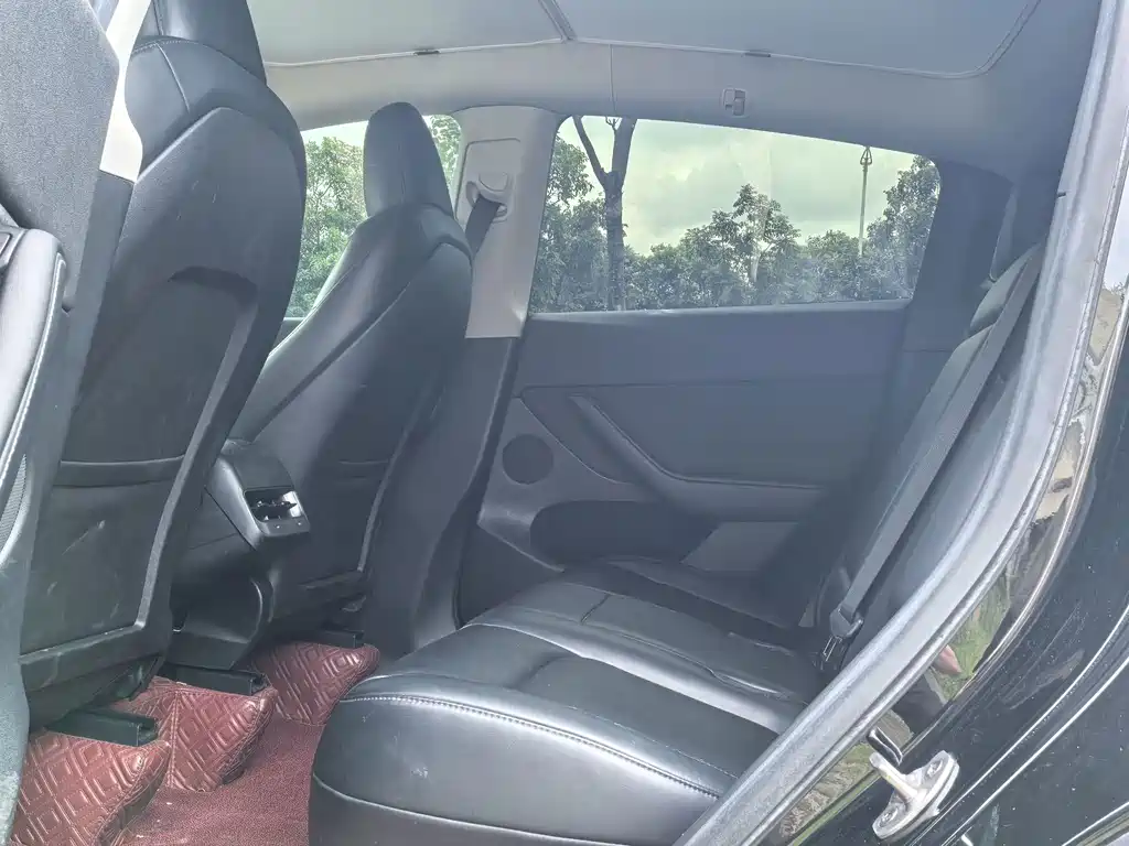 Model Y 2022 Rear-Wheel Drive Edition