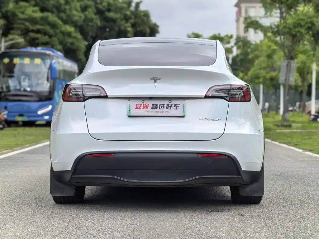 Model Y 2022 Rear-Wheel Drive Edition