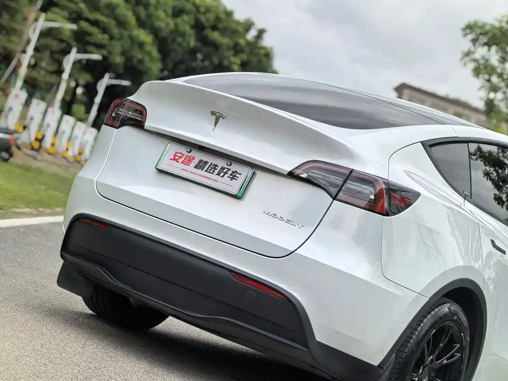 Model Y 2022 Rear-Wheel Drive Edition