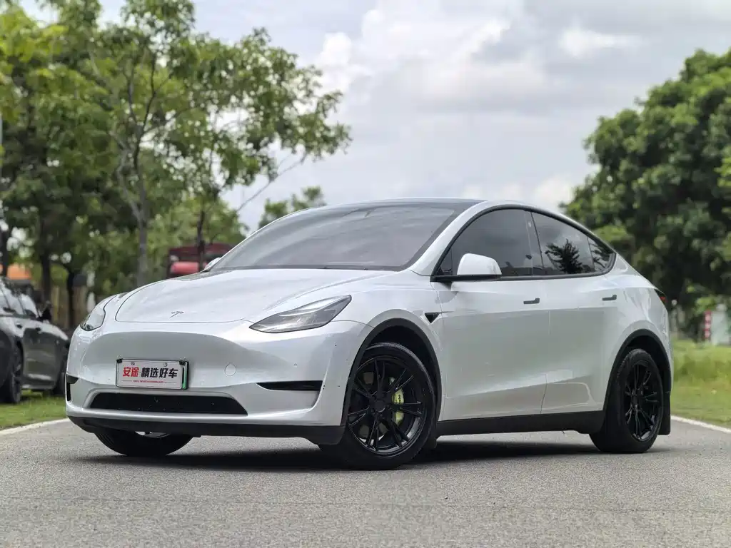 Model Y 2022 Rear-Wheel Drive Edition