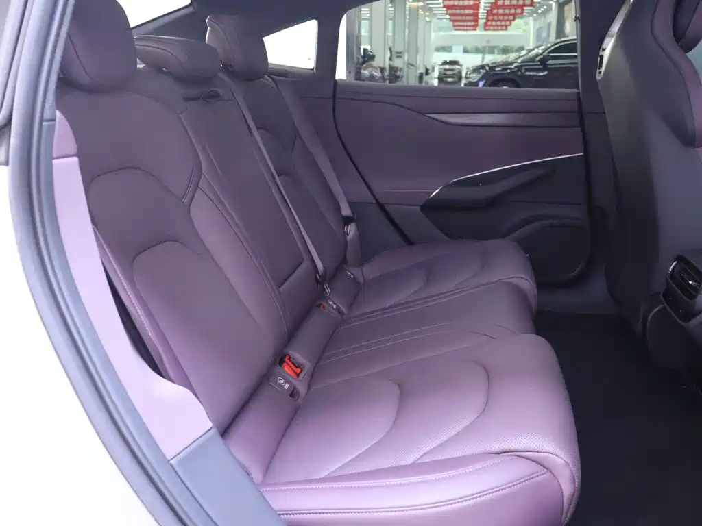 Xiaomi SU7 2024 Edition Rear-wheel Drive Long Range Intelligent Driving Version