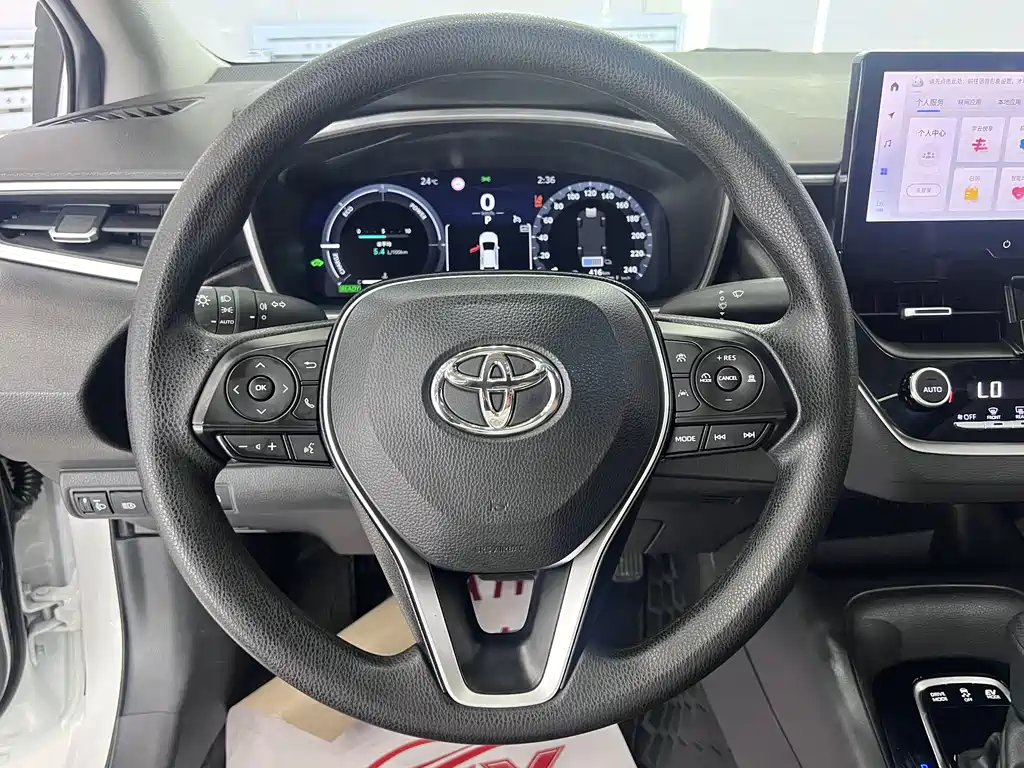 RAISEN 2023 Intelligent Hybrid Dual Power 1.8L Sports Edition