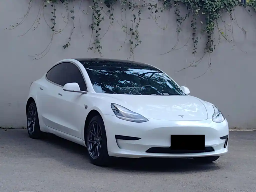 Model 3 Long Range Rear-Wheel Drive Upgrade 2020