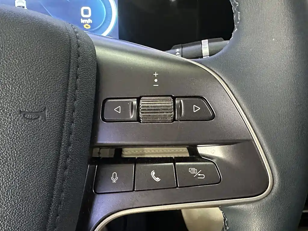 Qin L 2024 DM-i 80KM Surpassing Edition