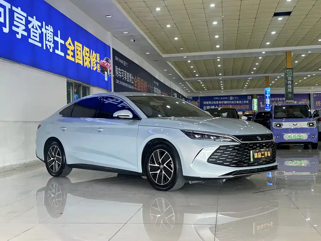 Qin L 2024 DM-i 80KM Surpassing Edition