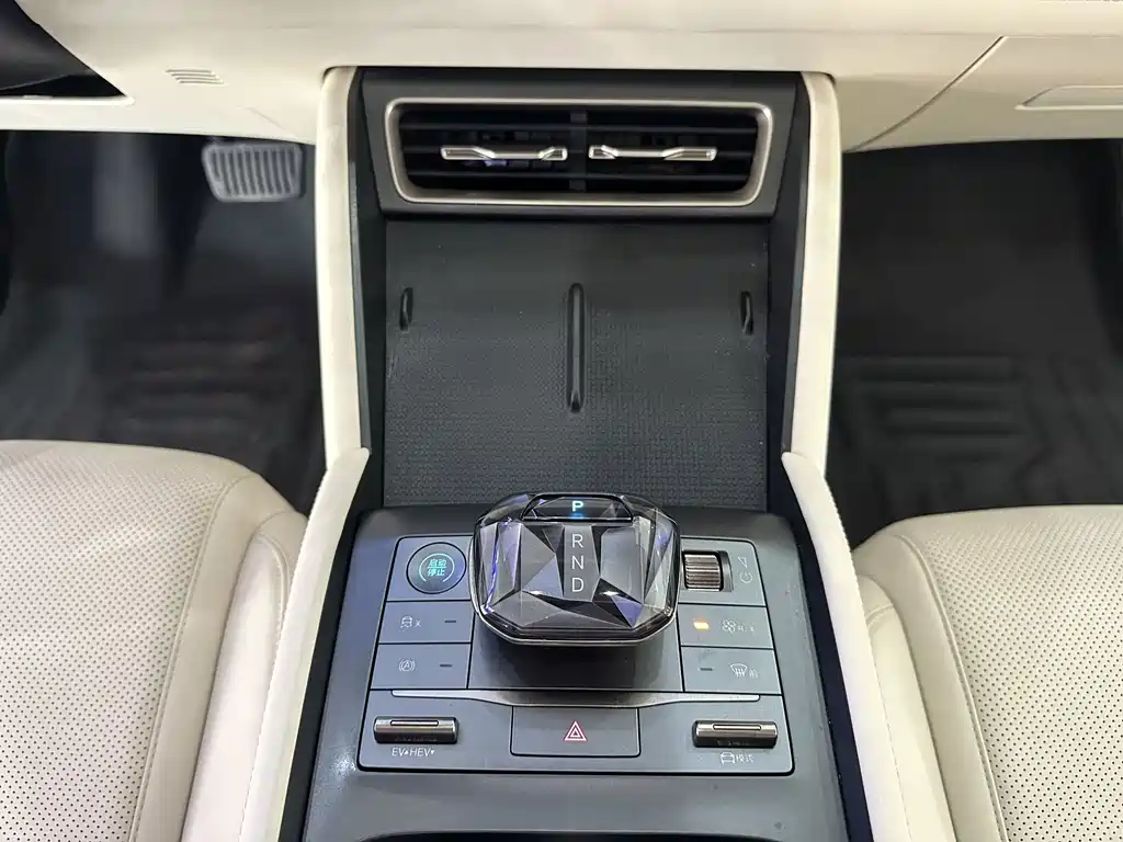 Qin L 2024 DM-i 80KM Surpassing Edition