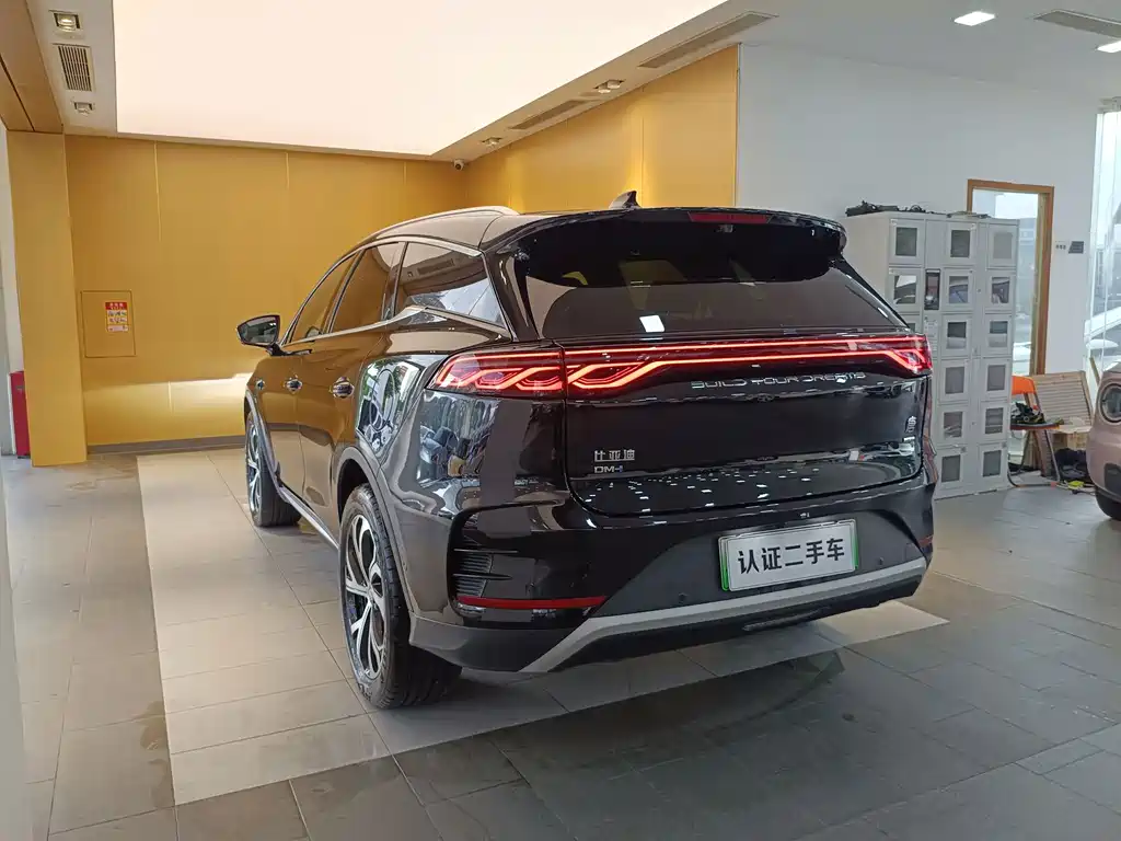 Tang New Energy 2025 Model Intelligent Driving Edition DM-i 115KM Flagship Type