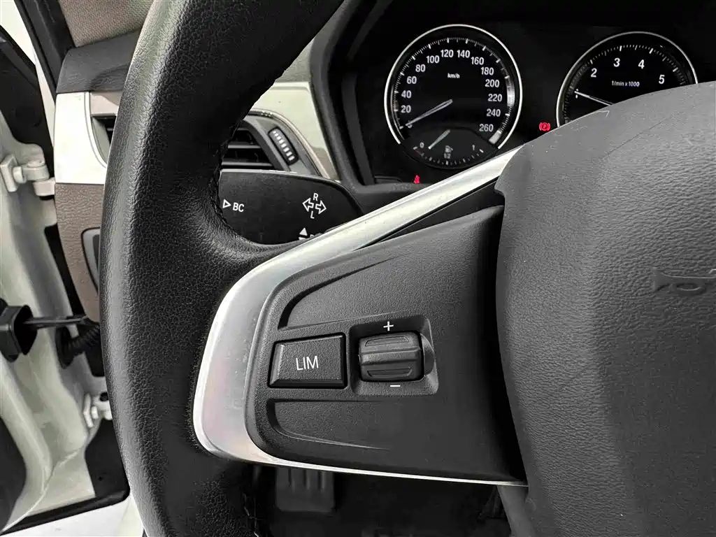 BMW X1 New Energy 2019 xDrive25Le mileage upgraded version