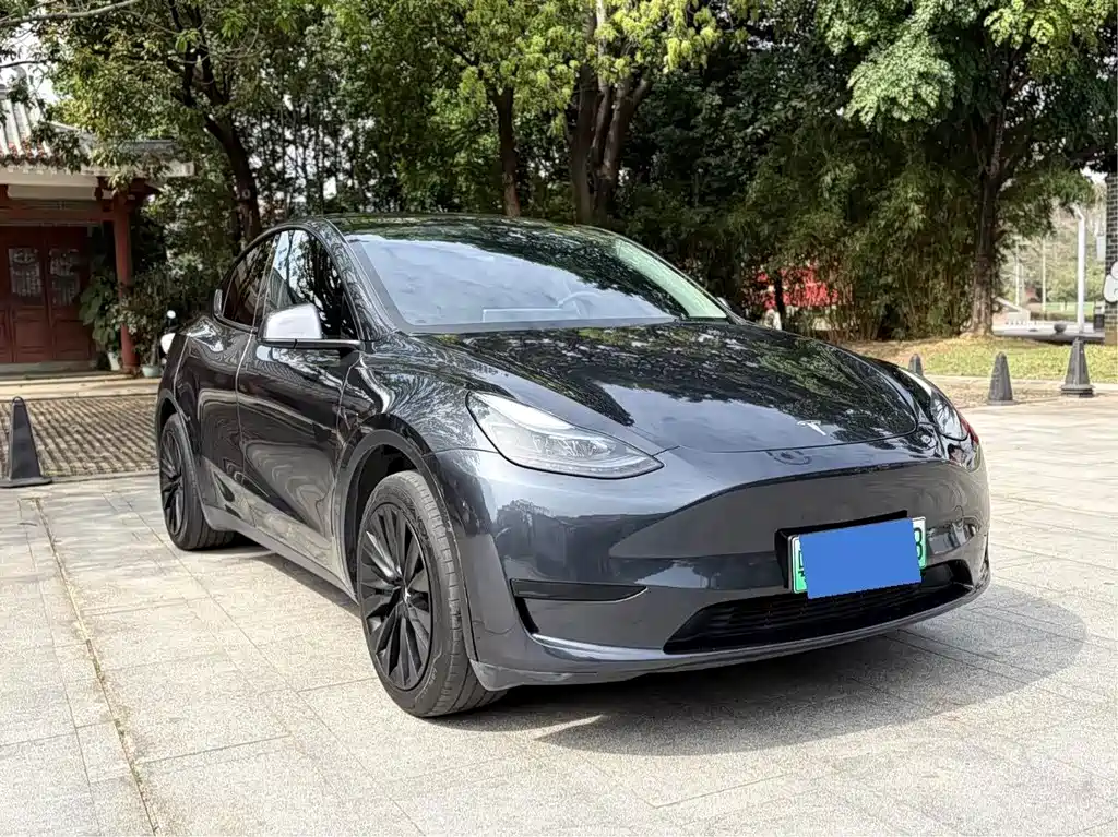 Model Y 2024 Rear-Wheel Drive Edition