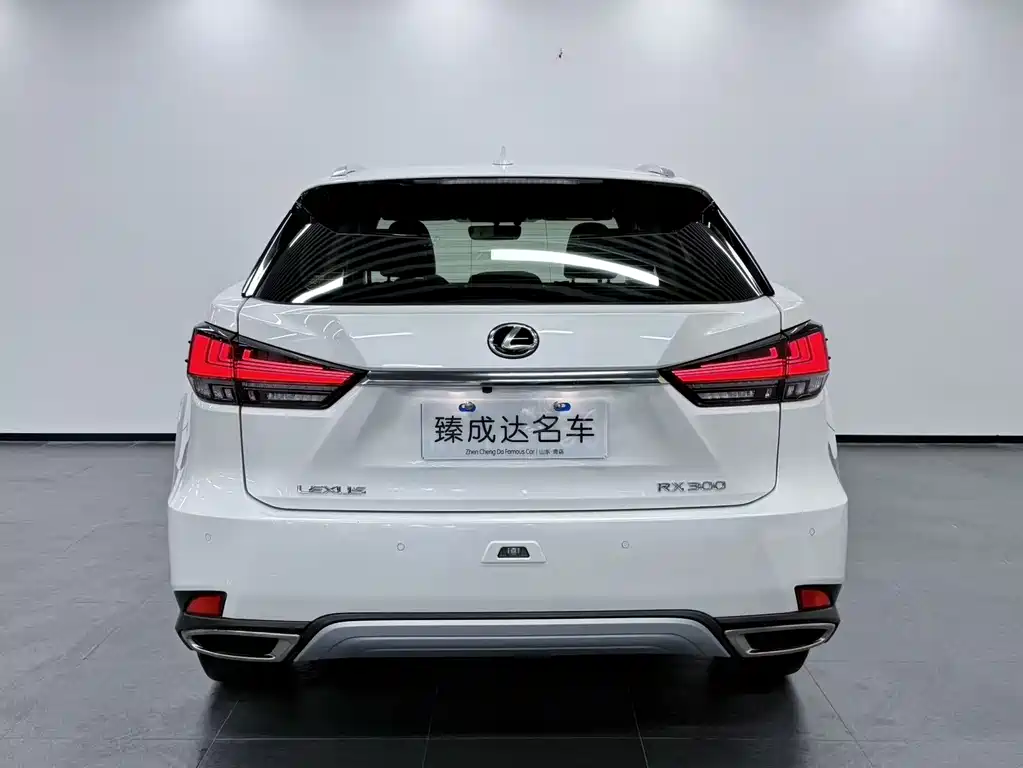 Lexus RX 2020 300 Two-wheel Drive Elite Edition National VI