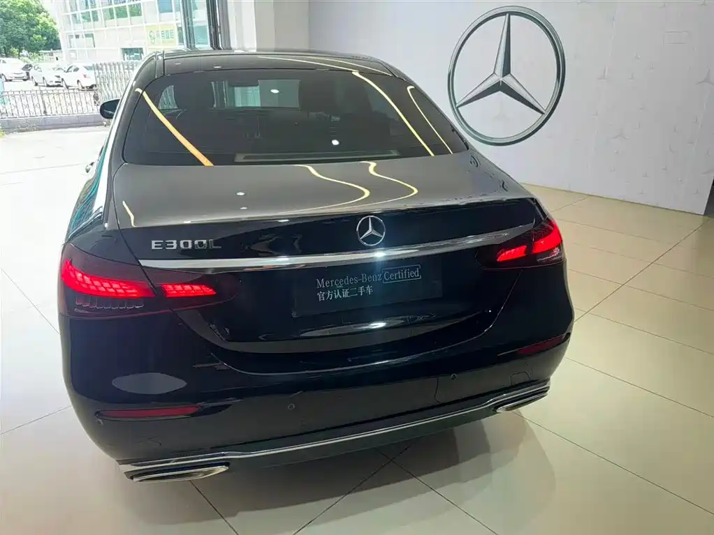 Mercedes-Benz E-Class 2023 E 300 L Luxury Edition