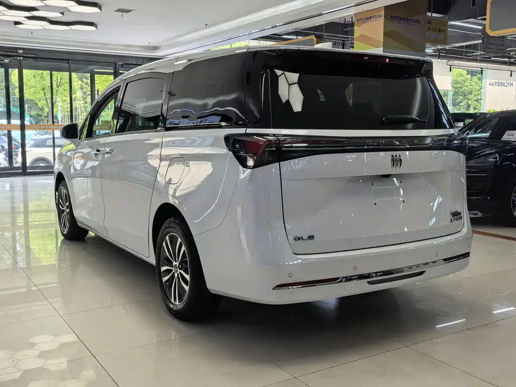 Buick GL8 2025 Edition Executive Coach Premieum Version