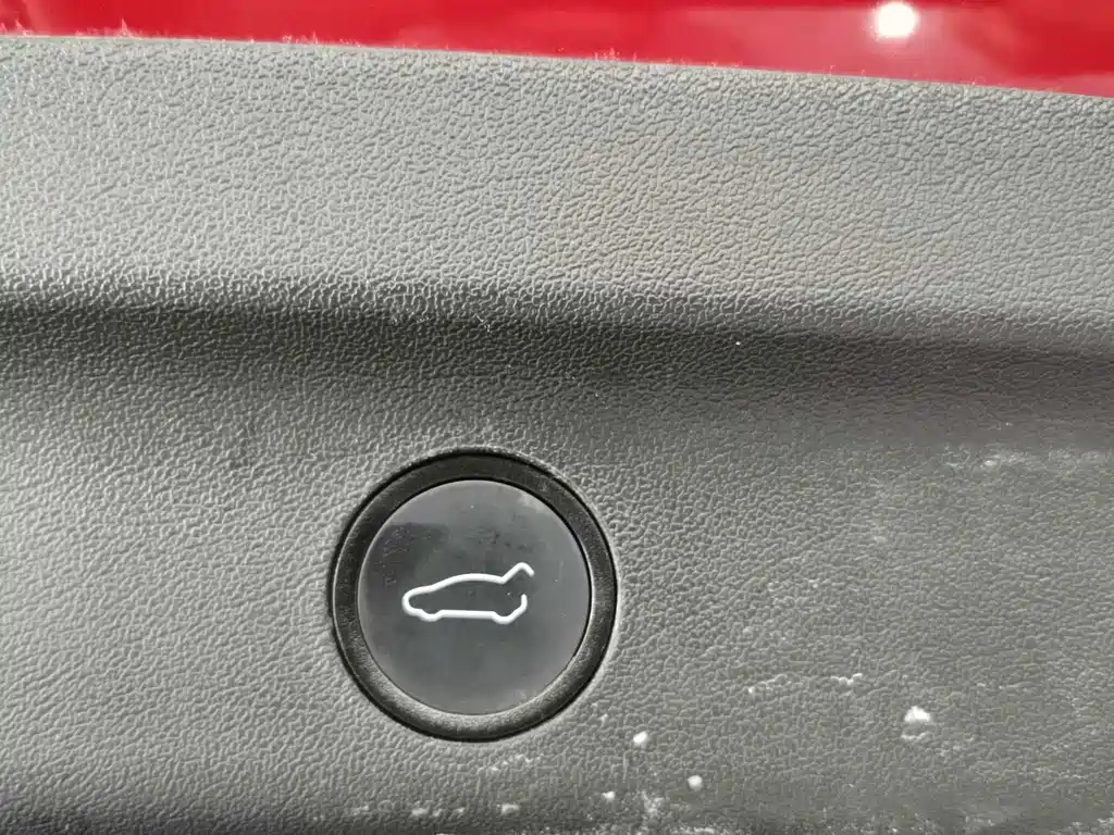Model Y 2022 Rear-Wheel Drive Edition